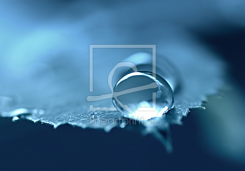 frei wählbarer Bildausschnitt für Ihr Bild auf Türfolie