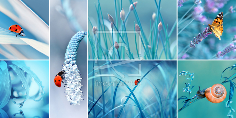 frei wählbarer Bildausschnitt für Ihr Bild auf Türfolie