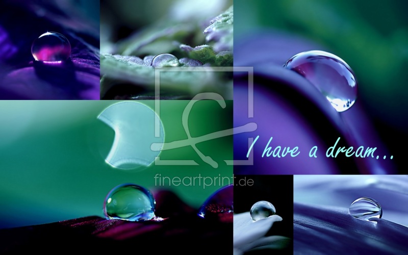 frei wählbarer Bildausschnitt für Ihr Bild auf Türfolie