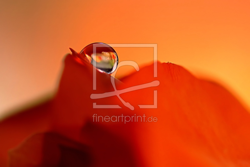 frei wählbarer Bildausschnitt für Ihr Bild auf Türfolie