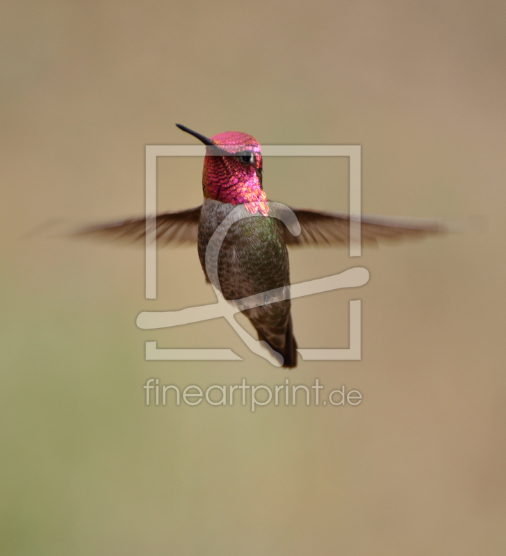 frei wählbarer Bildausschnitt für Ihr Bild auf Türfolie
