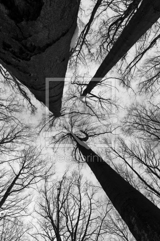 frei wählbarer Bildausschnitt für Ihr Bild auf Türfolie