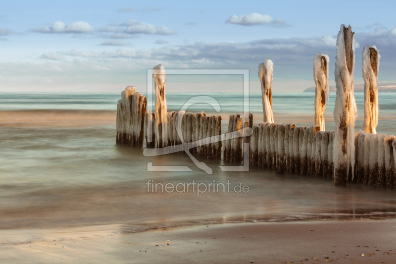 frei wählbarer Bildausschnitt für Ihr Bild auf Türfolie