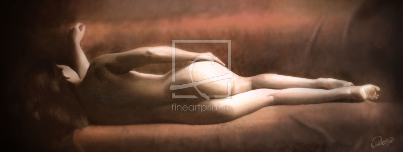 frei wählbarer Bildausschnitt für Ihr Bild auf Türfolie