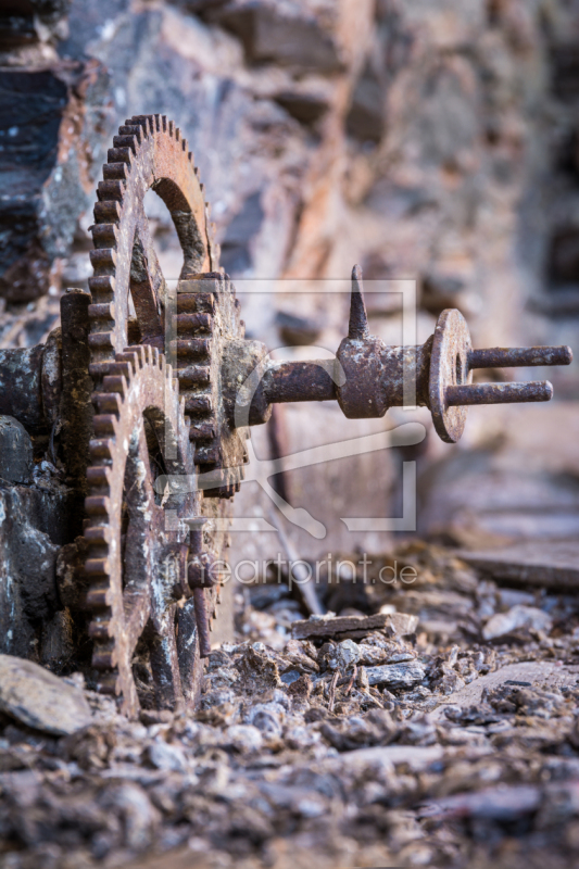 frei wählbarer Bildausschnitt für Ihr Bild auf Türfolie