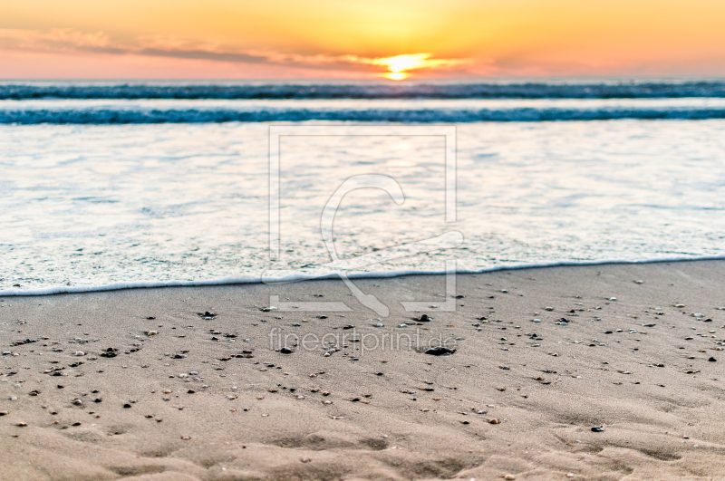 frei wählbarer Bildausschnitt für Ihr Bild auf Türfolie