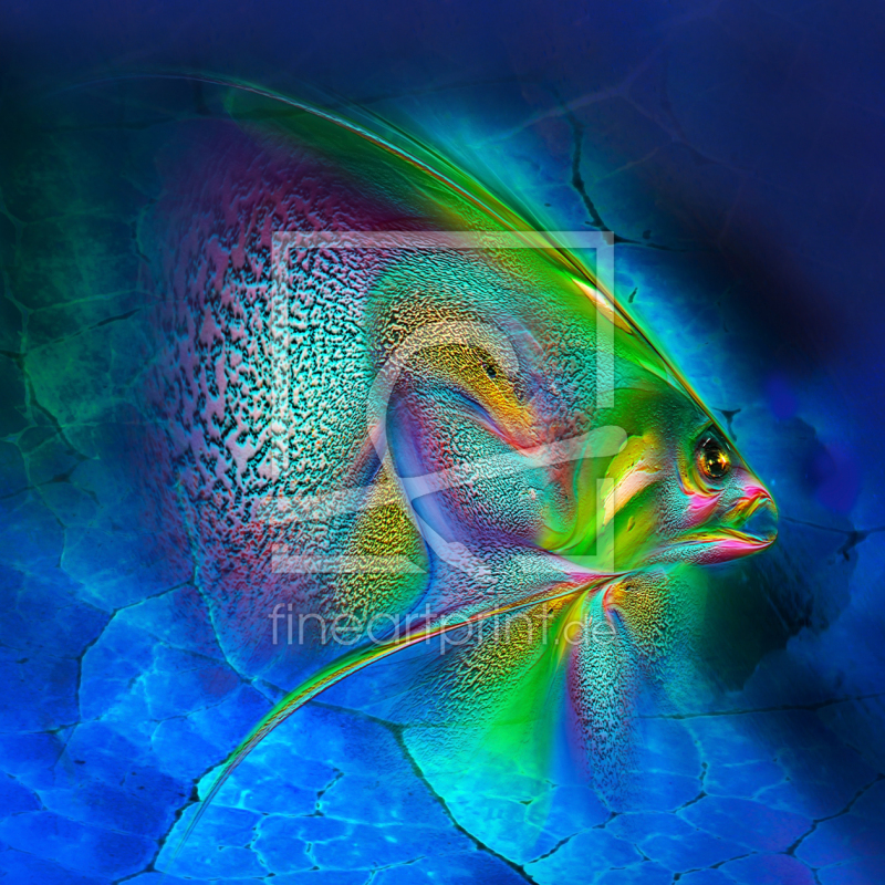 frei wählbarer Bildausschnitt für Ihr Bild auf Türfolie