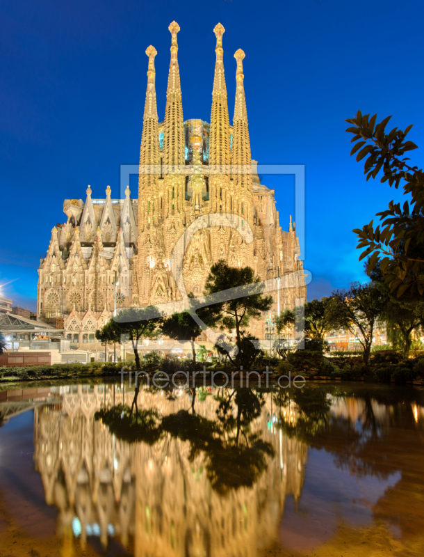 frei wählbarer Bildausschnitt für Ihr Bild auf Türfolie
