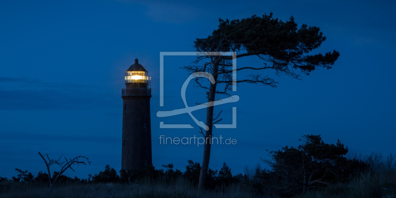 frei wählbarer Bildausschnitt für Ihr Bild auf Türfolie