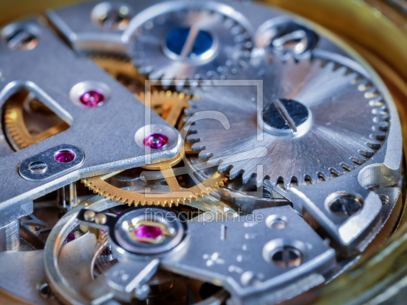 frei wählbarer Bildausschnitt für Ihr Bild auf Türfolie