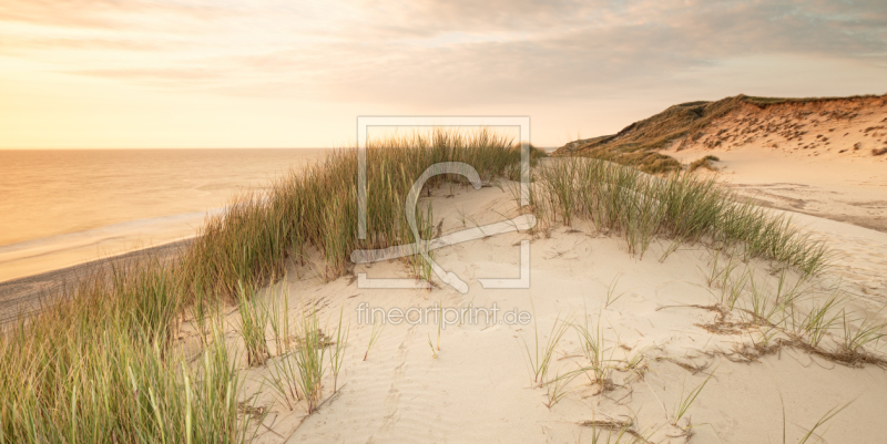 frei wählbarer Bildausschnitt für Ihr Bild auf Türfolie