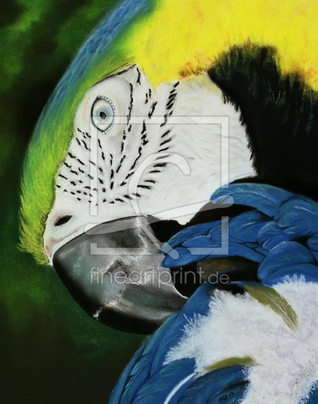 frei wählbarer Bildausschnitt für Ihr Bild auf Türfolie