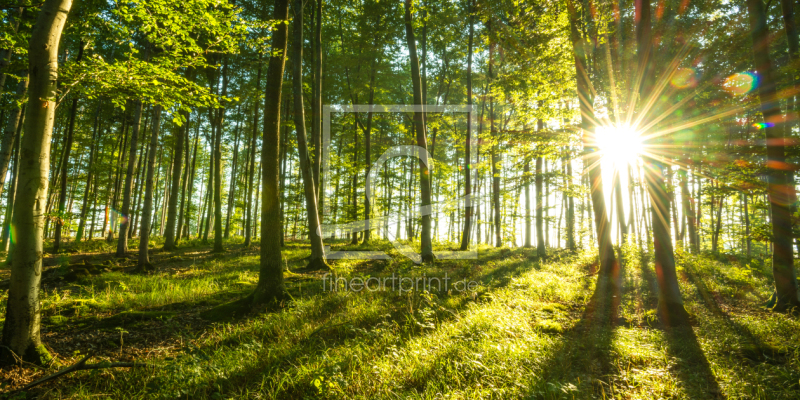 frei wählbarer Bildausschnitt für Ihr Bild auf Türfolie