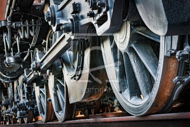 frei wählbarer Bildausschnitt für Ihr Bild auf Türfolie