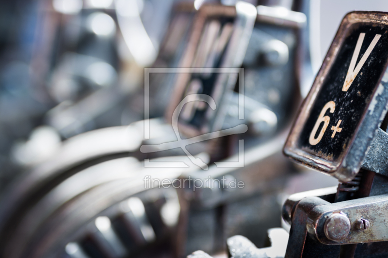 frei wählbarer Bildausschnitt für Ihr Bild auf Türfolie