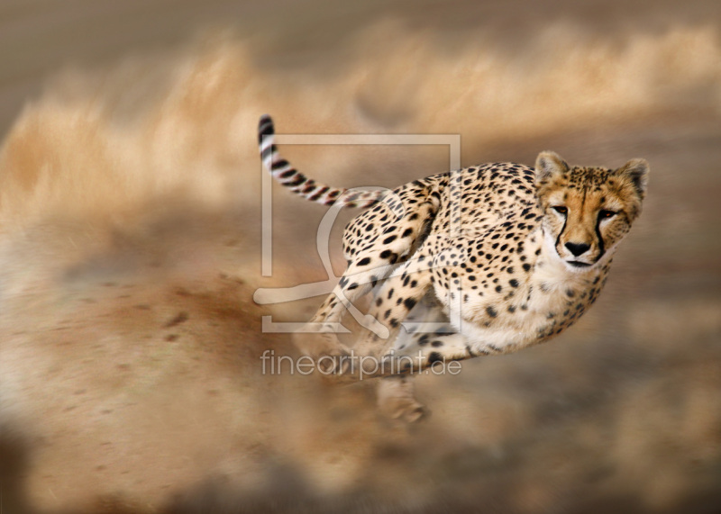 frei wählbarer Bildausschnitt für Ihr Bild auf Türfolie