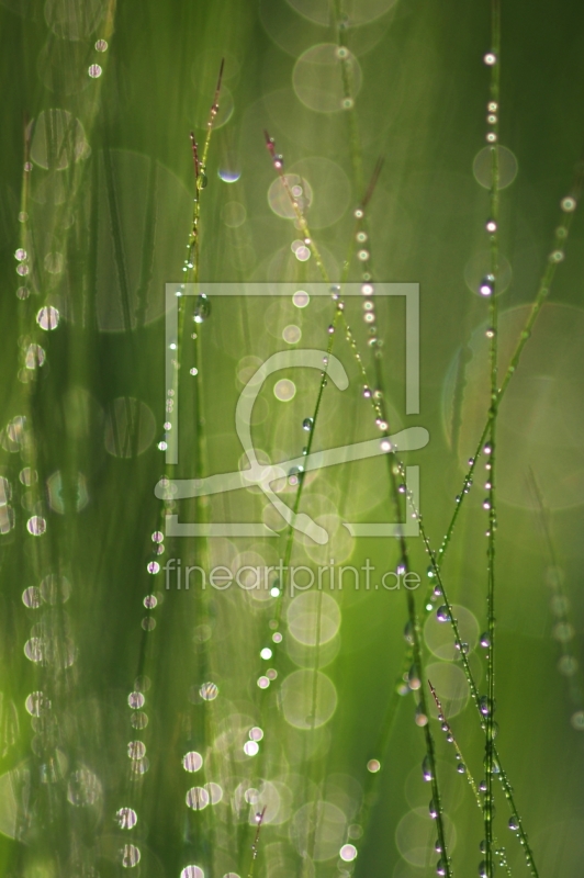 frei wählbarer Bildausschnitt für Ihr Bild auf Türfolie