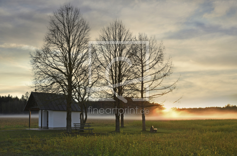 frei wählbarer Bildausschnitt für Ihr Bild auf Türfolie