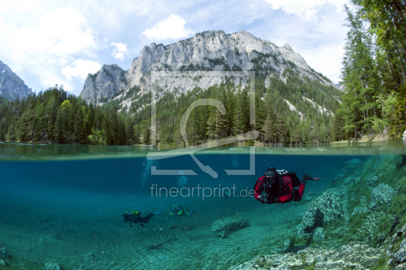 frei wählbarer Bildausschnitt für Ihr Bild auf Türfolie