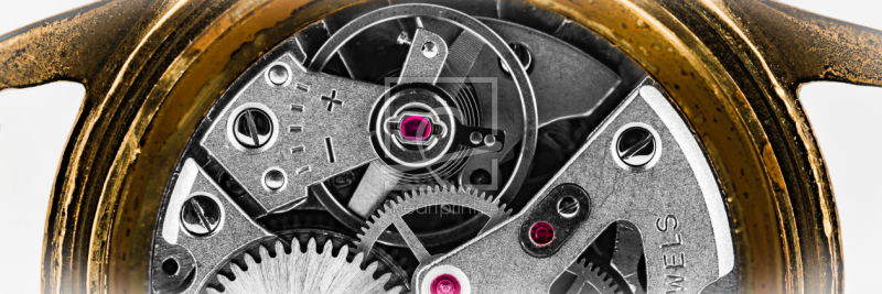 frei wählbarer Bildausschnitt für Ihr Bild auf Türfolie