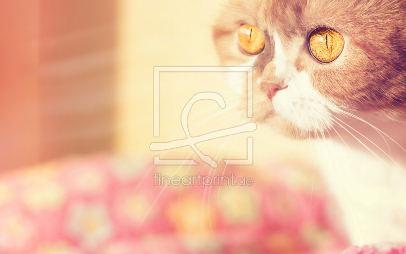 frei wählbarer Bildausschnitt für Ihr Bild auf Türfolie