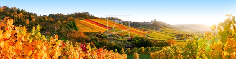 frei wählbarer Bildausschnitt für Ihr Bild auf Türfolie