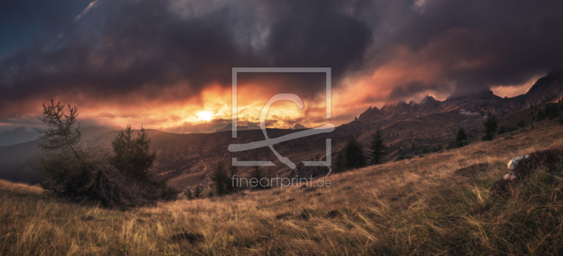 frei wählbarer Bildausschnitt für Ihr Bild auf Türfolie