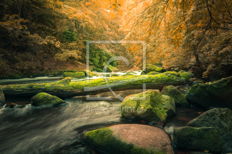 frei wählbarer Bildausschnitt für Ihr Bild auf Türfolie