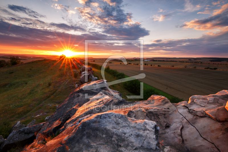 frei wählbarer Bildausschnitt für Ihr Bild auf Türfolie