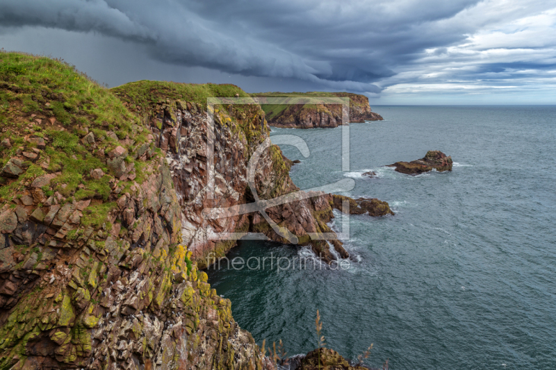 frei wählbarer Bildausschnitt für Ihr Bild auf Türfolie