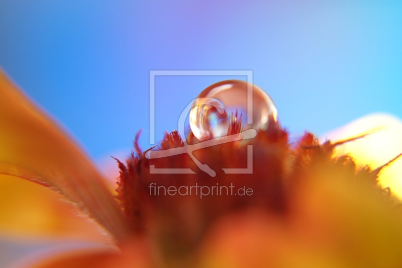 frei wählbarer Bildausschnitt für Ihr Bild auf Türfolie