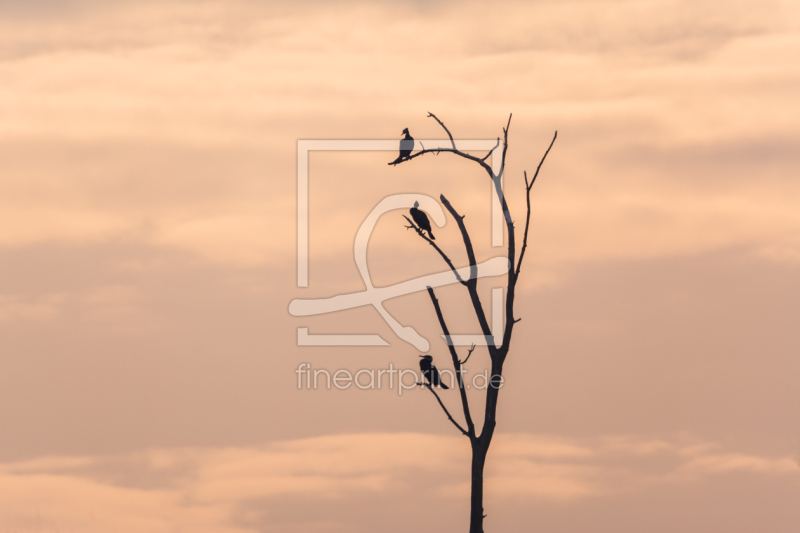frei wählbarer Bildausschnitt für Ihr Bild auf Türfolie