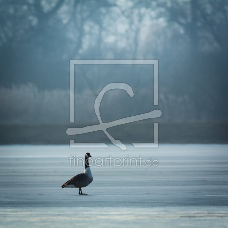 frei wählbarer Bildausschnitt für Ihr Bild auf Türfolie