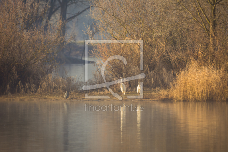 frei wählbarer Bildausschnitt für Ihr Bild auf Türfolie