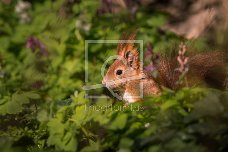 frei wählbarer Bildausschnitt für Ihr Bild auf Türfolie