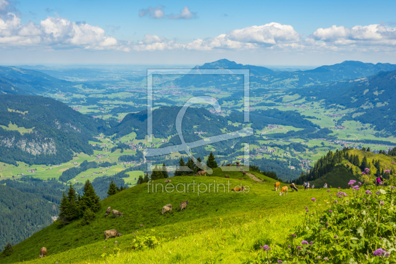 frei wählbarer Bildausschnitt für Ihr Bild auf Türfolie