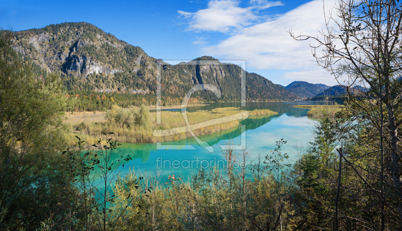 frei wählbarer Bildausschnitt für Ihr Bild auf Türfolie