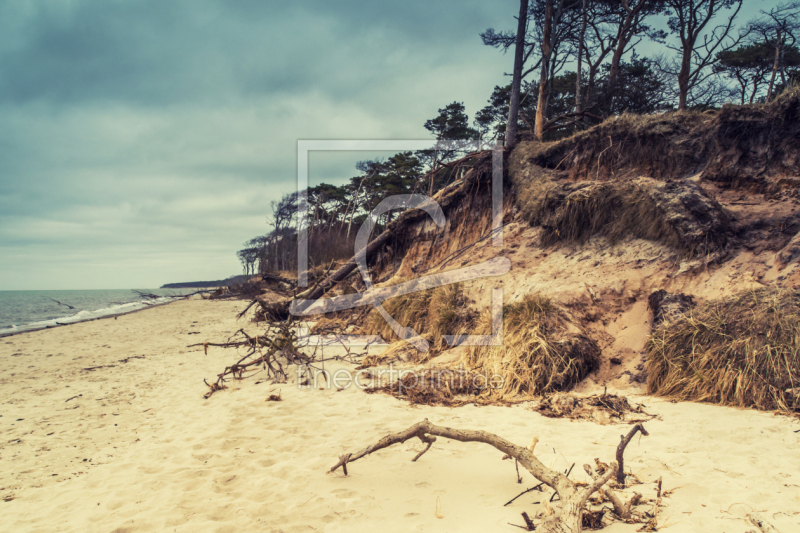 frei wählbarer Bildausschnitt für Ihr Bild auf Türfolie