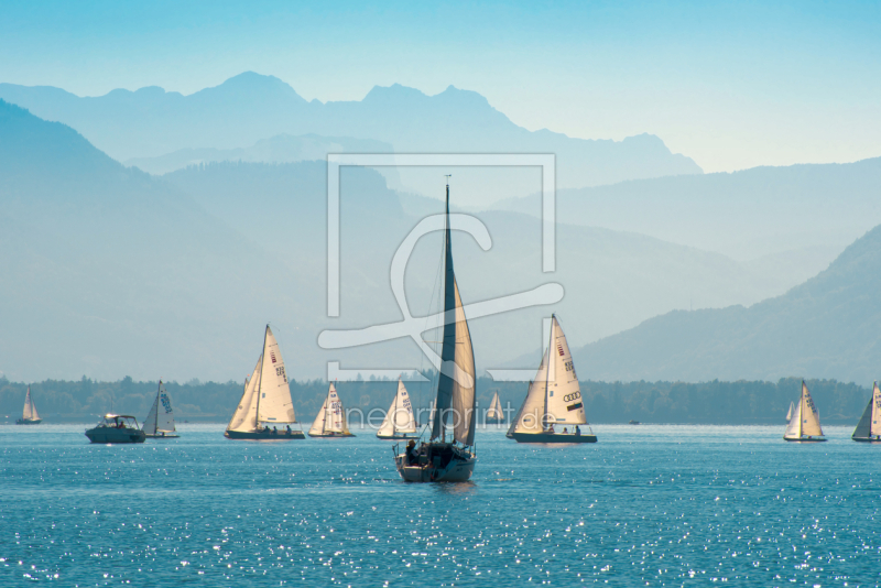 frei wählbarer Bildausschnitt für Ihr Bild auf Türfolie