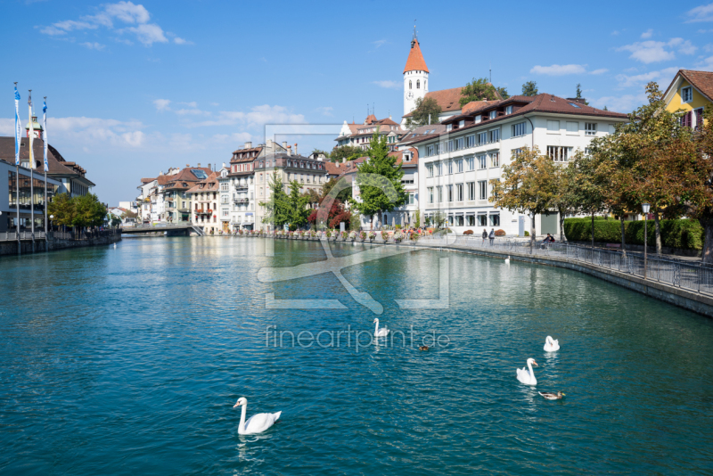 frei wählbarer Bildausschnitt für Ihr Bild auf Türfolie