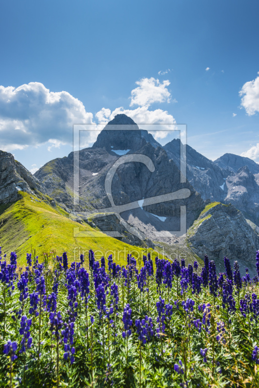 frei wählbarer Bildausschnitt für Ihr Bild auf Türfolie