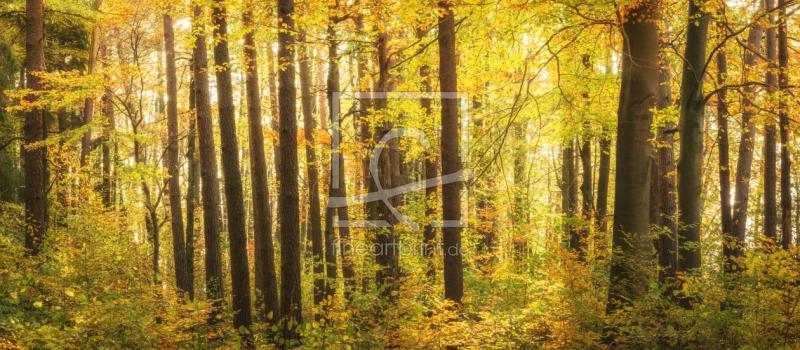 frei wählbarer Bildausschnitt für Ihr Bild auf Türfolie