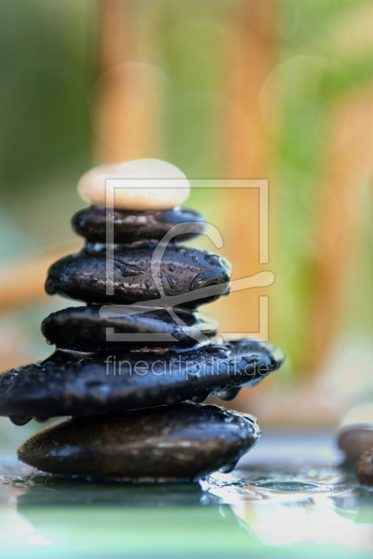 frei wählbarer Bildausschnitt für Ihr Bild auf Türfolie