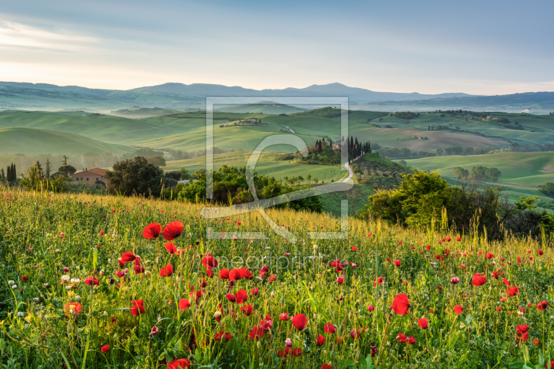 frei wählbarer Bildausschnitt für Ihr Bild auf Türfolie
