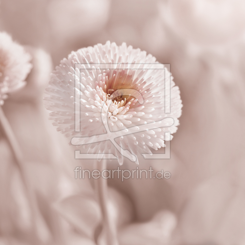 frei wählbarer Bildausschnitt für Ihr Bild auf Türfolie