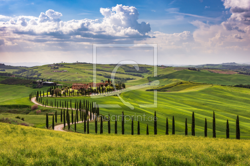 frei wählbarer Bildausschnitt für Ihr Bild auf Türfolie