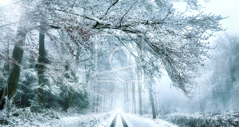 frei wählbarer Bildausschnitt für Ihr Bild auf Türfolie