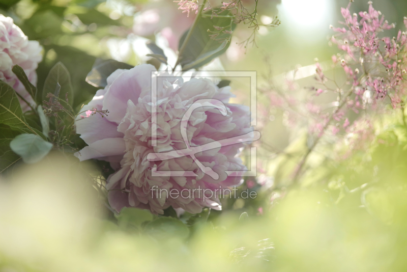 frei wählbarer Bildausschnitt für Ihr Bild auf Türfolie