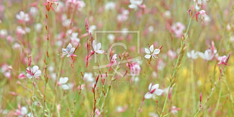 frei wählbarer Bildausschnitt für Ihr Bild auf Türfolie