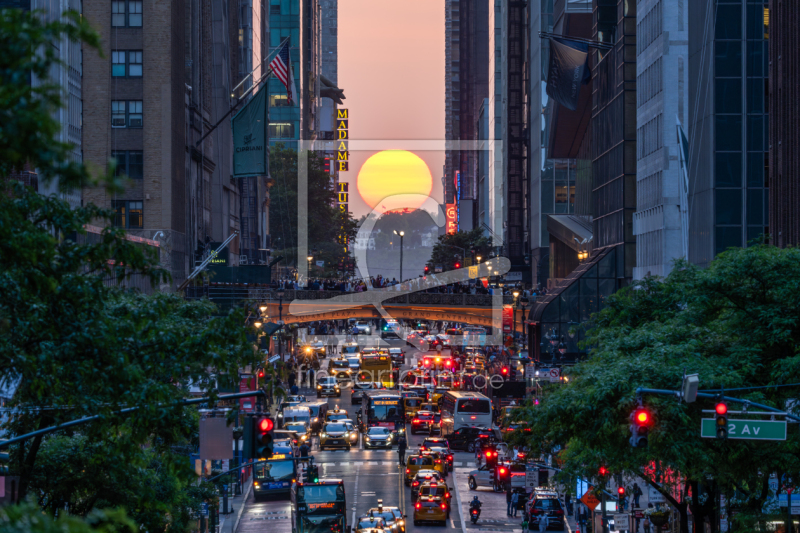 frei wählbarer Bildausschnitt für Ihr Bild auf Türfolie